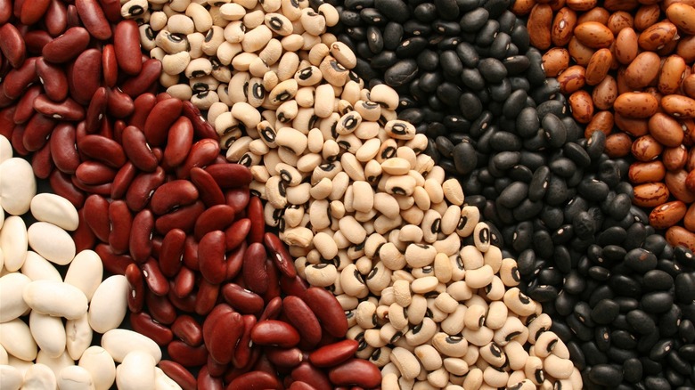 variety of beans spread out