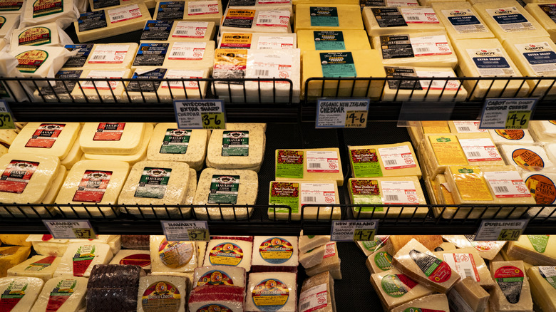 Block cheeses on black shelves in a grocery store with price tags