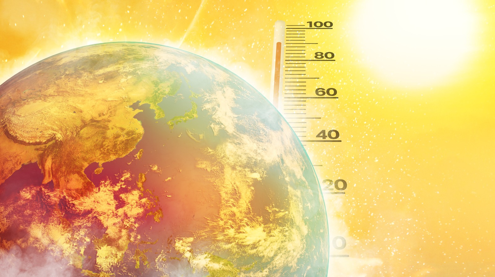 Is It Possible To Cook Food Using Only The Heat Of The Sun?