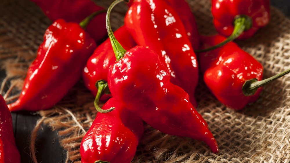 Ghost Peppers