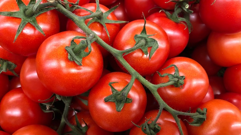 Tomatoes on the vine