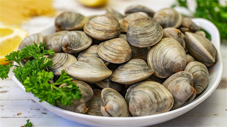 Clams in a bowl