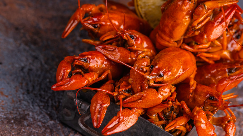 boiled crawfish