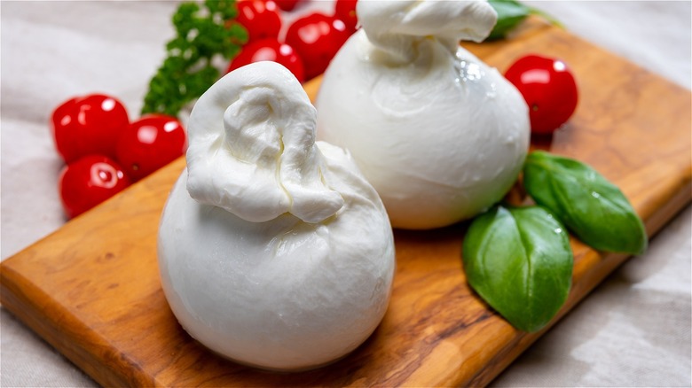 Burrata with basil and tomatoes