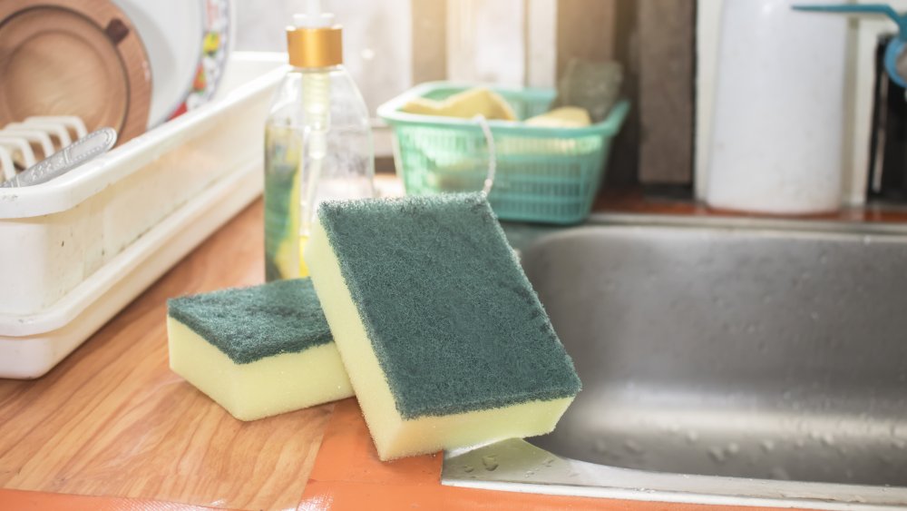 kitchen sponge by the sink