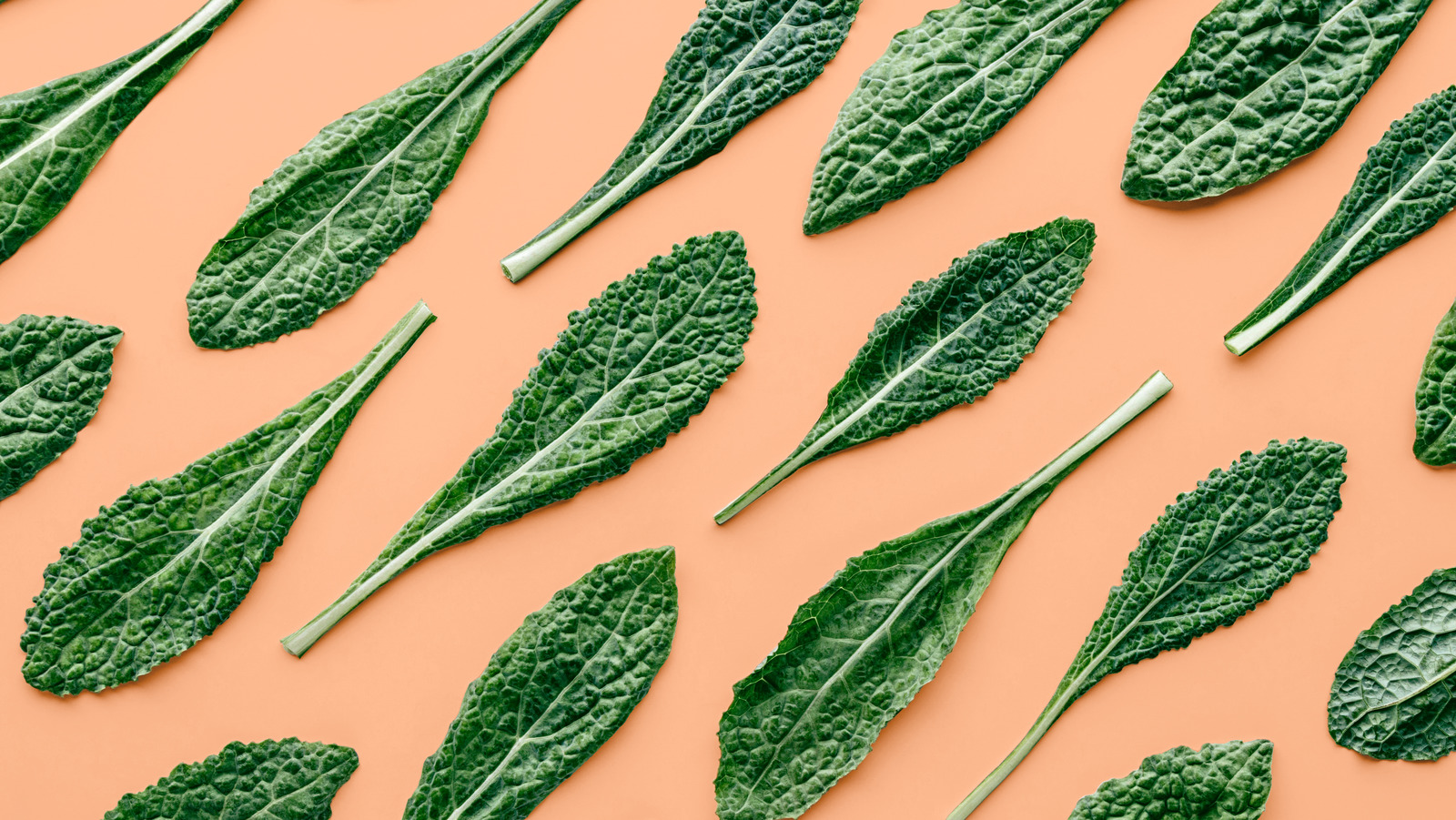 Is Kale Better For You Than Spinach is-kale-better-for-you-than-spinach