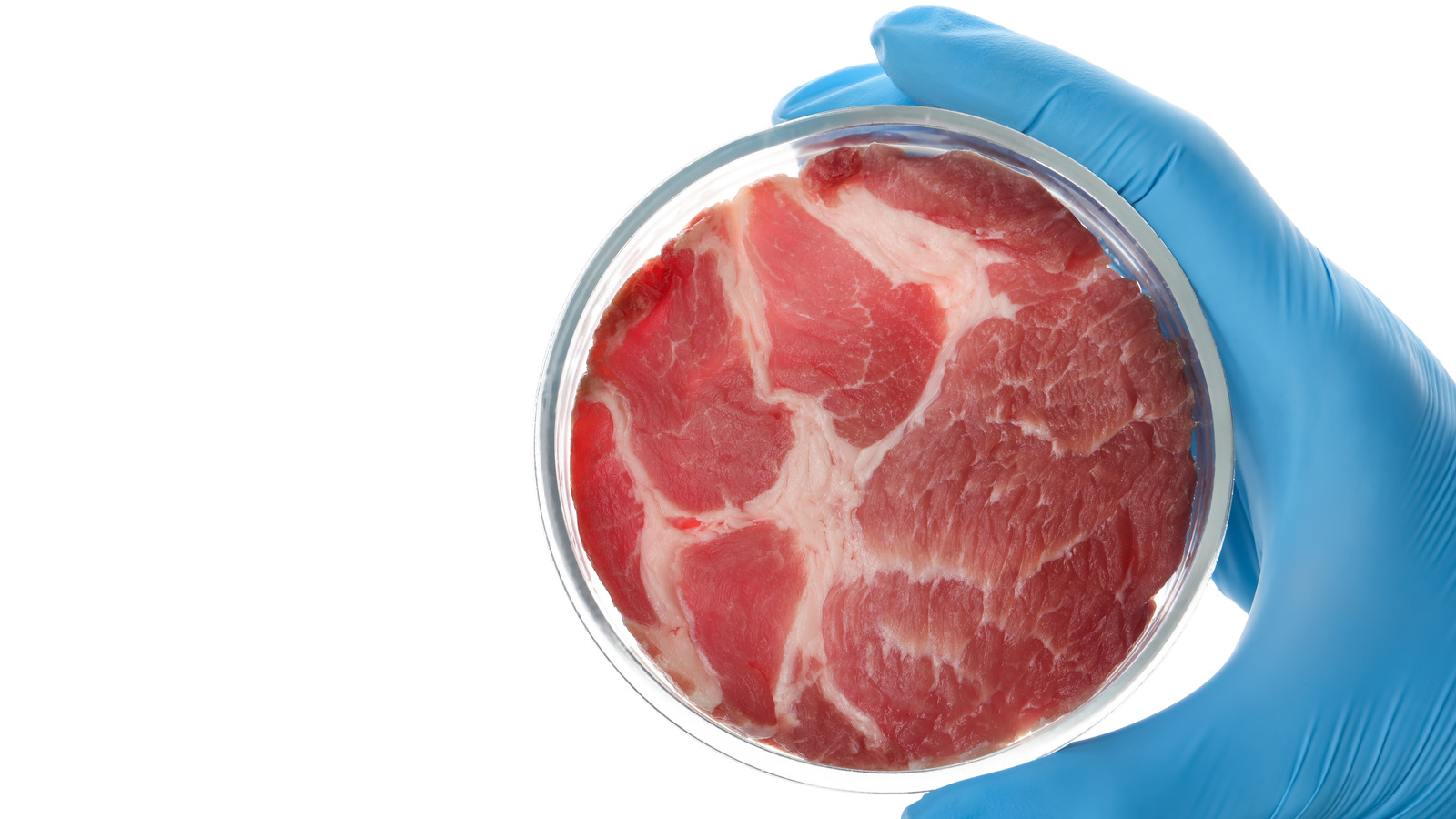 Is LabGrown Meat The Future Of Food?
