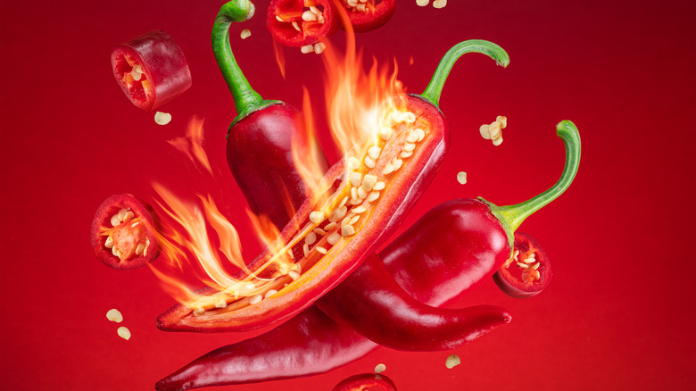 spicy red pepper
