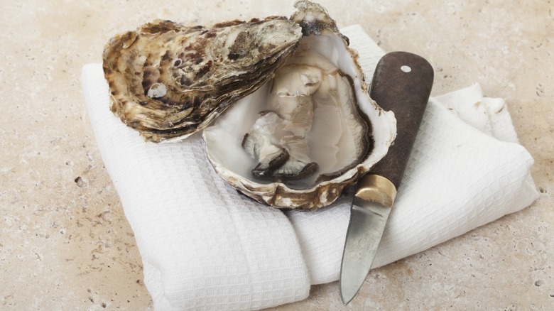 shucked oyster with knife