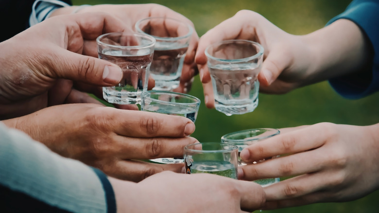 People making a toast with shots of vodka