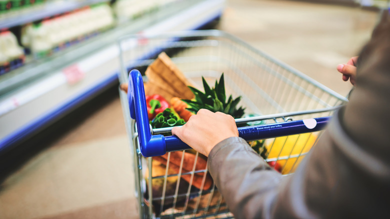 person pushing shopping cart inside a grocery store