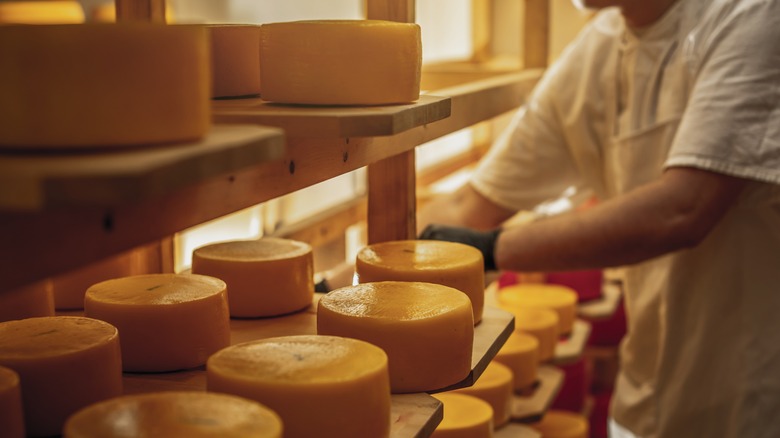 man adjusting cheese wheels