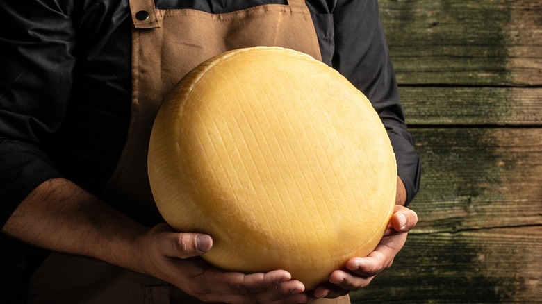 person holding cheese wheel