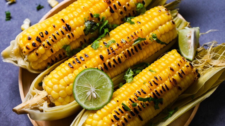 Ears of charred corn on the cob with lime and cilantro. 