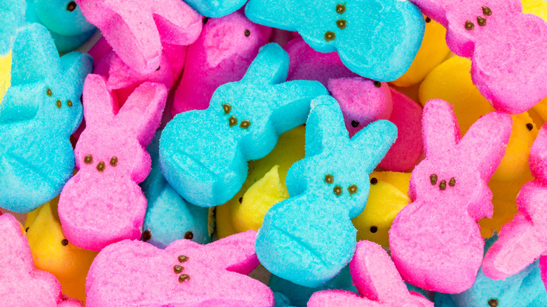 blue and pink Peeps candy