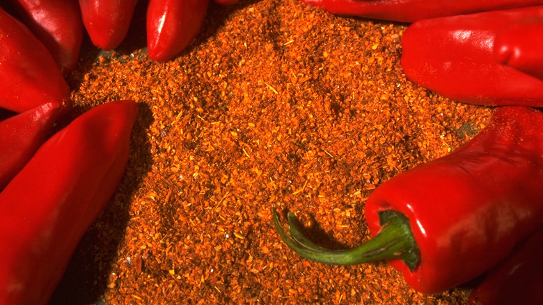 Espelette peppers whole and ground