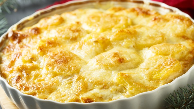 Gratin topped with broiled cheese