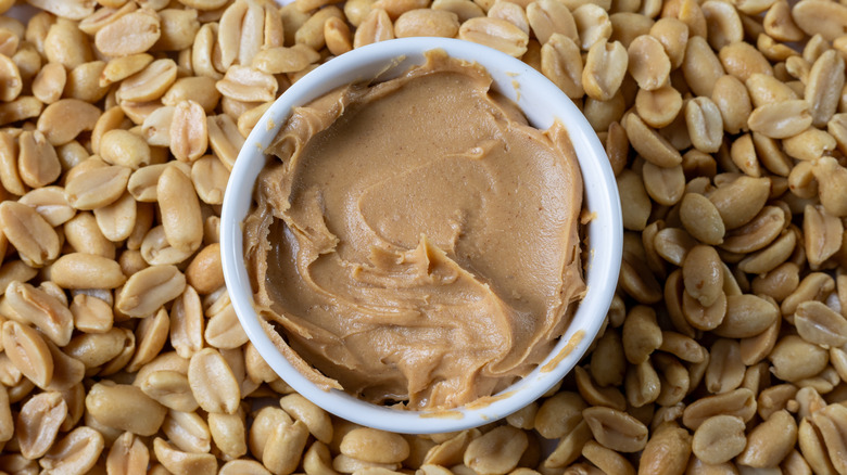 A white bowl of peanut butter surrounded by shelled peanuts