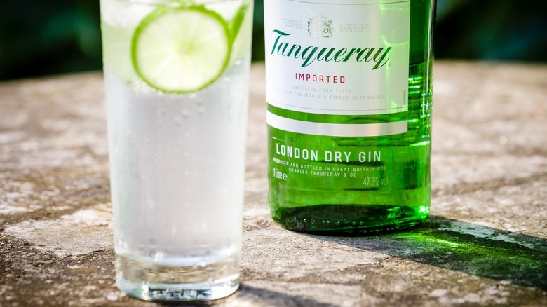 tanqueray gin bottle with cocktail