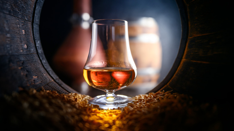 Tasting glass with whiskey sitting inside aging barrel surrounded by mash.