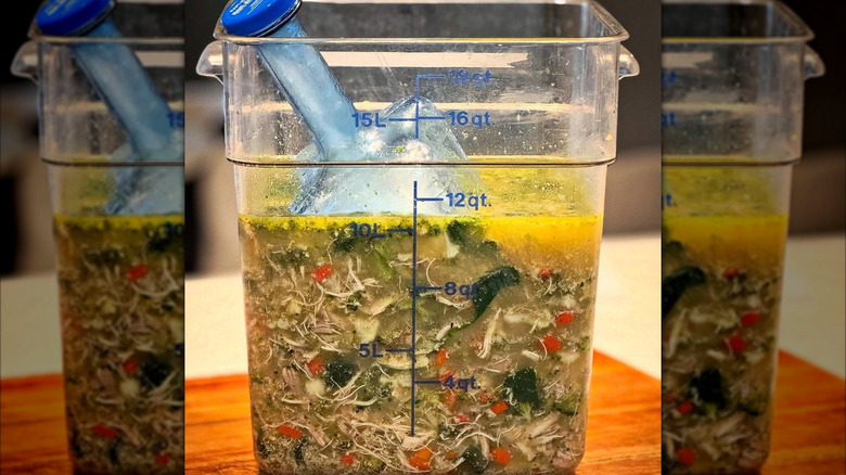 Julia Collin Davison's chicken soup with cooling paddle inside