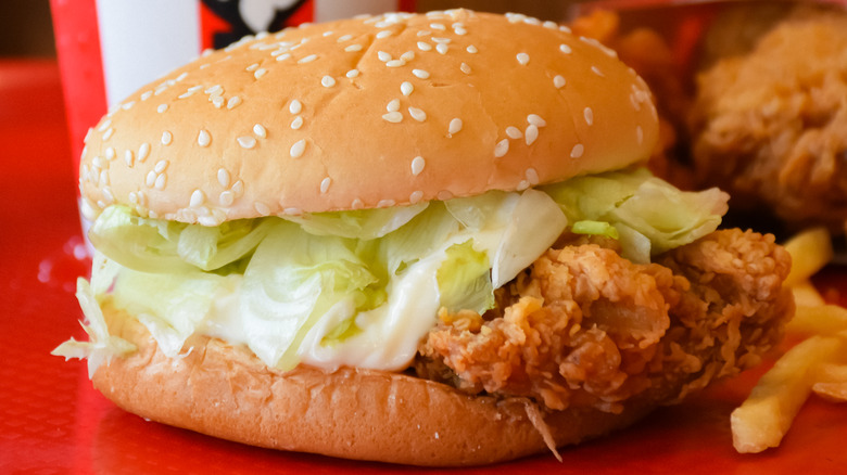 Close up of a KFC chicken sandwich