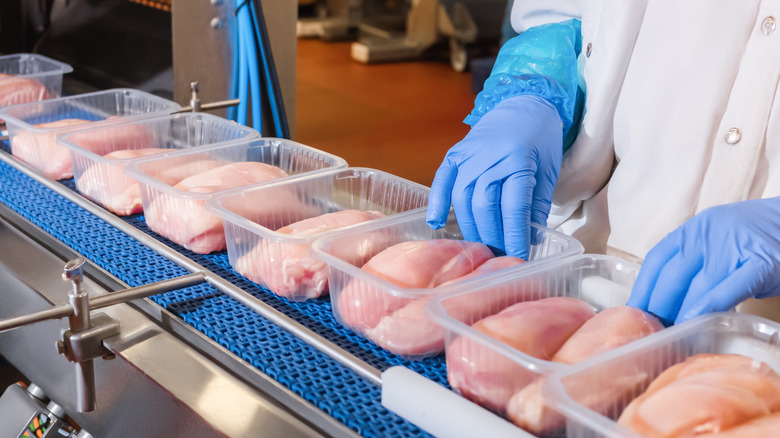 factory worker packaging chicken breasts