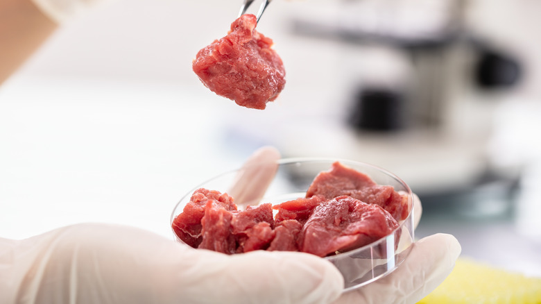Lab-grown meat sample