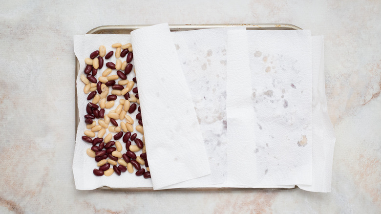 beans drying in paper towels