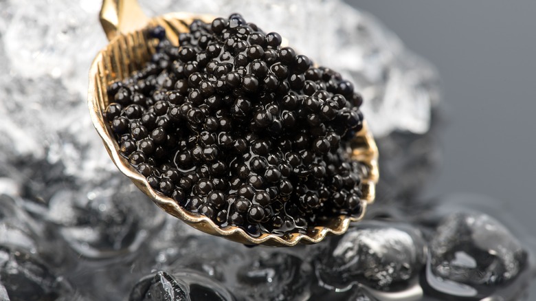 Caviar on spoon
