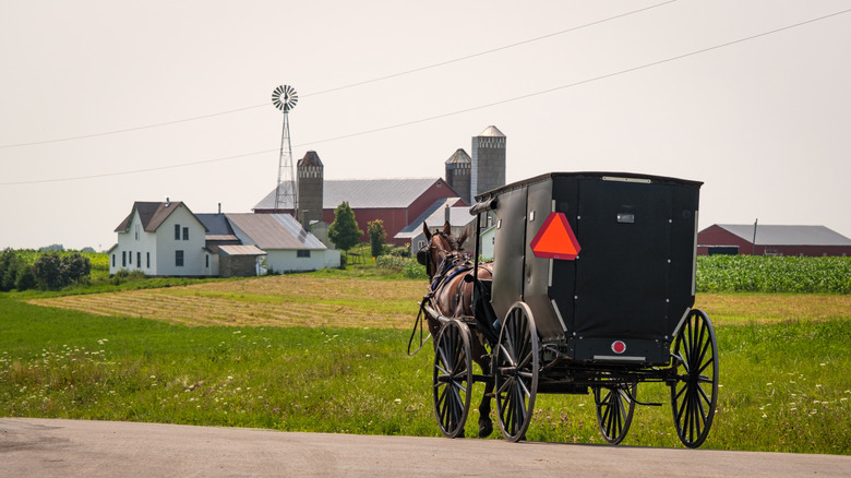 Amish buggy in Lancaster County, Pennsylvania