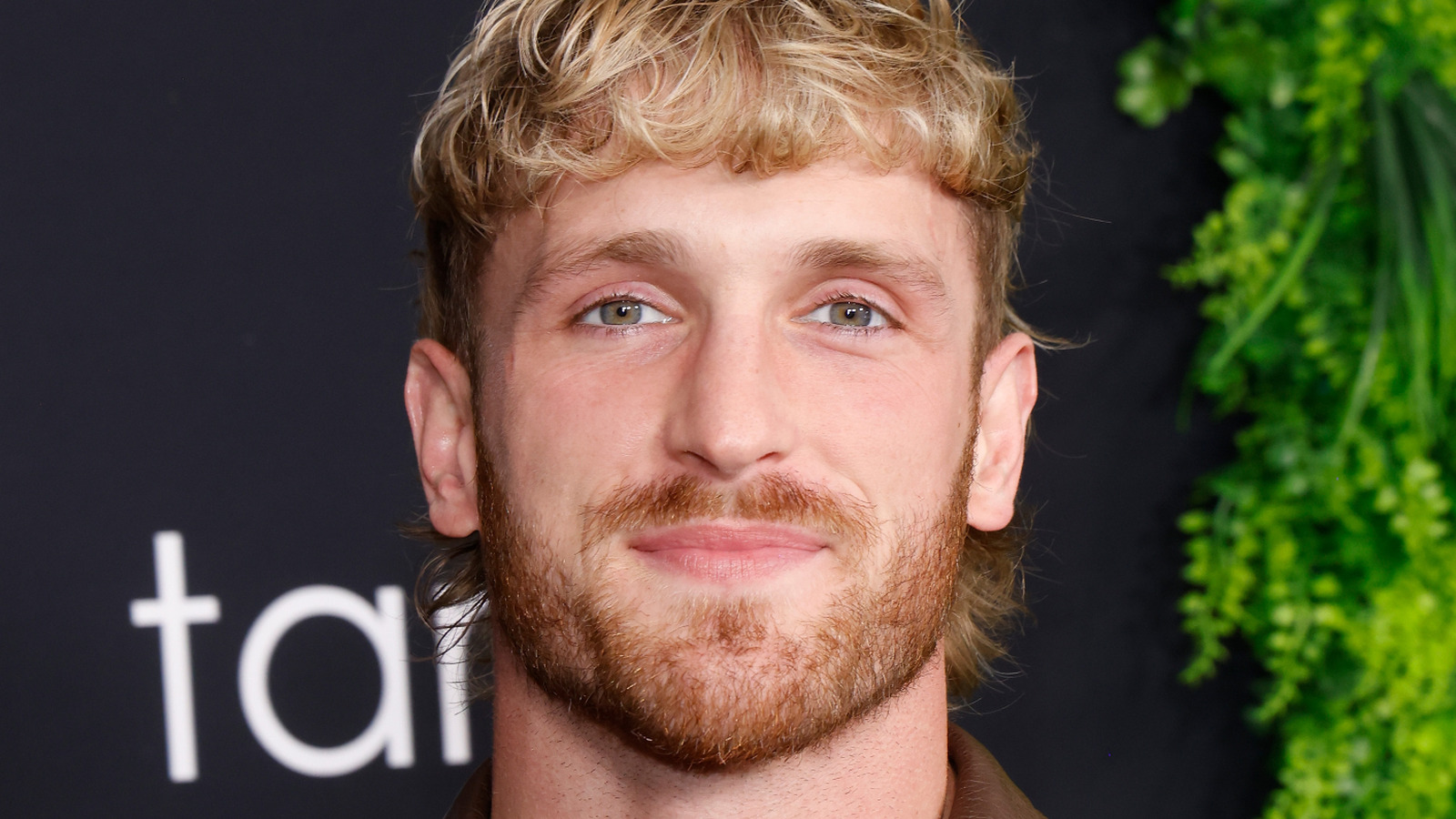 Logan Paul And MrBeast Strike Out Against 'Unhealthy' Lunchables With Copycat, Lunchly