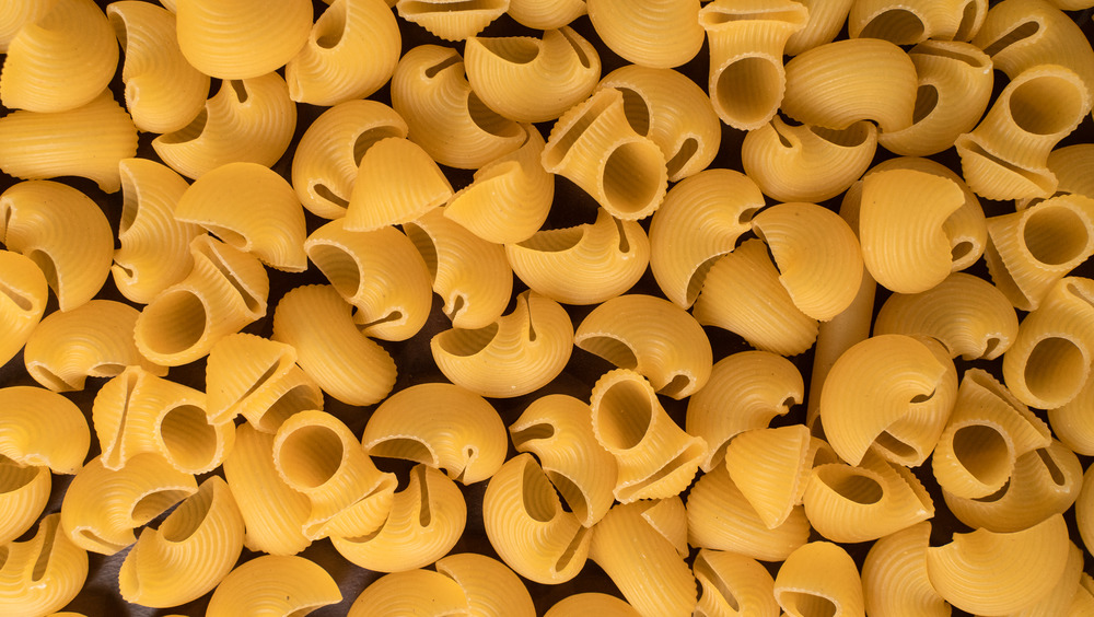 Snail-shaped dried pasta