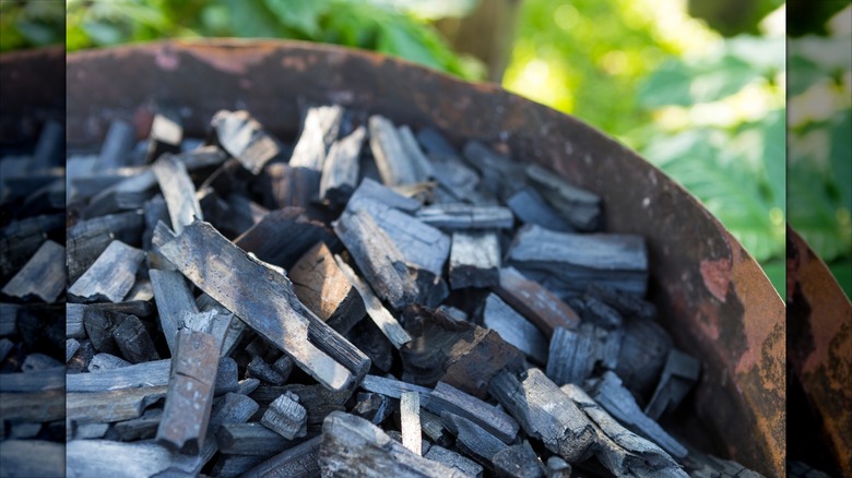Pieces of unlit natural lump charcoal in a metal grill