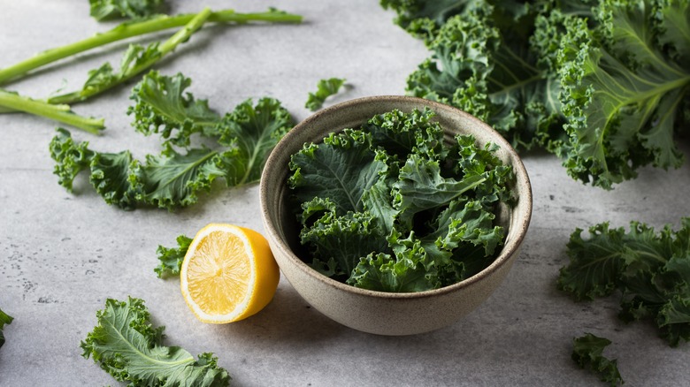 Major Signs That Your Kale Is Starting To Go Bad