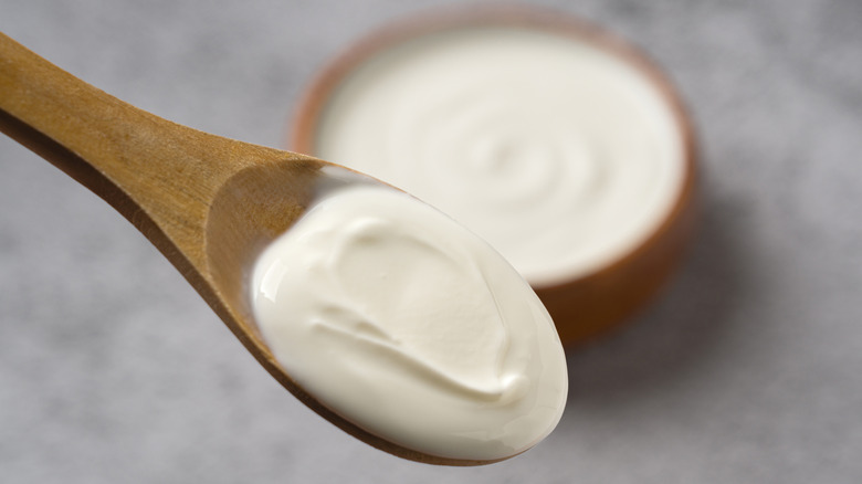 A closeup of a wooden spoon with yogurt above a bowl of yogurt