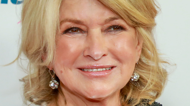 Martha Stewart smiling and shiny