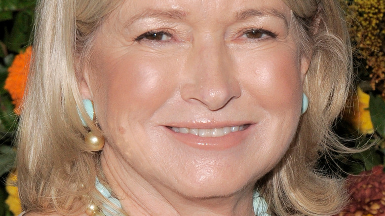 Martha Stewart Smiling