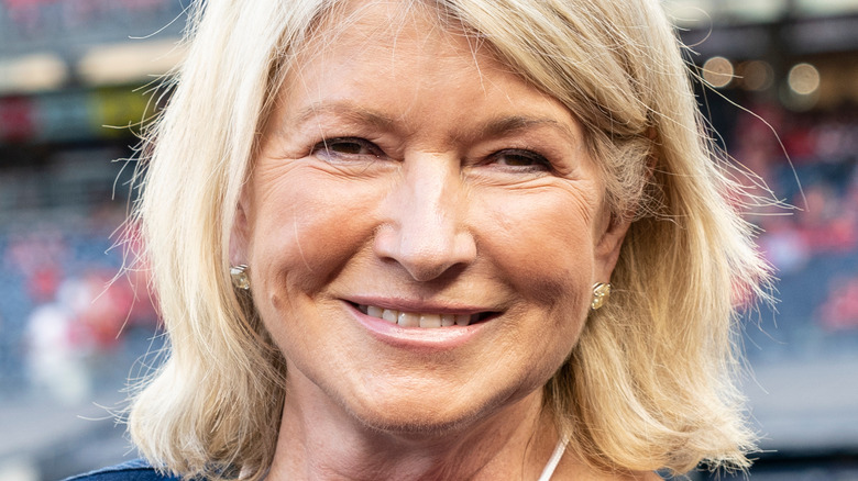 Martha  Stewart Close-Up