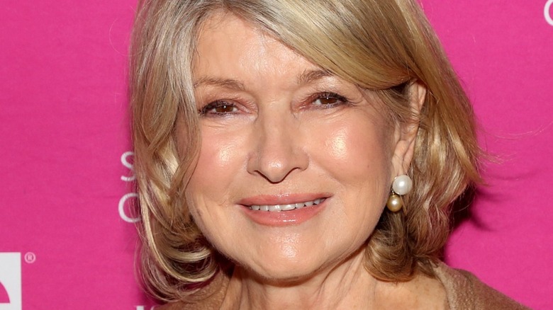 Martha Stewart closeup on pink background