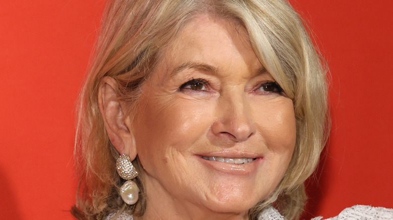 Martha Stewart close up