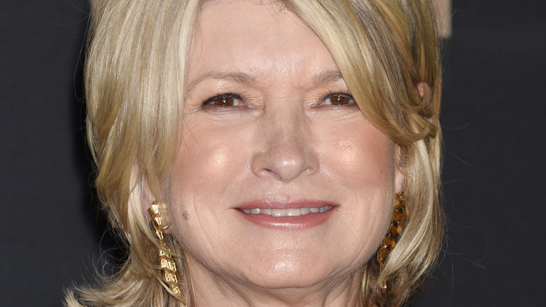 Martha Stewart at the MTV awards