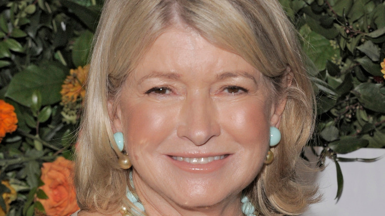 close up of martha stewart's face