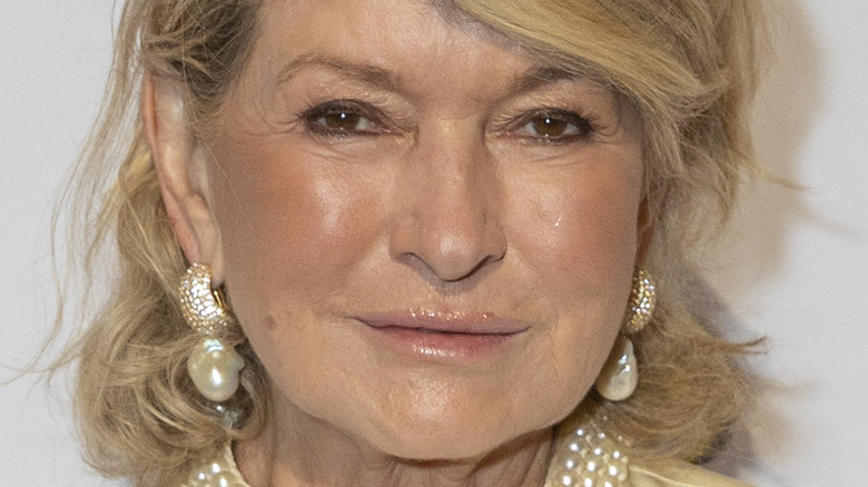 Martha Stewart with serious expression