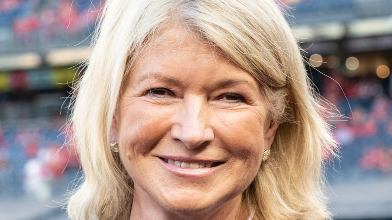 Martha Stewart smiling at baseball game