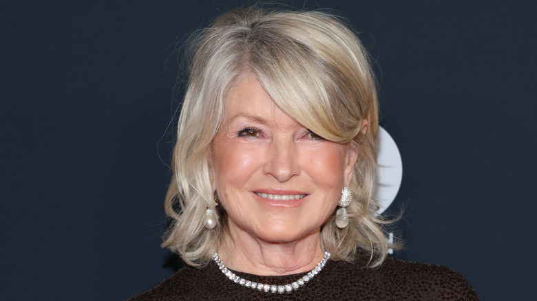 Martha Stewart smiling in brown dress and necklace