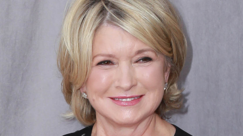 Martha Stewart headshot