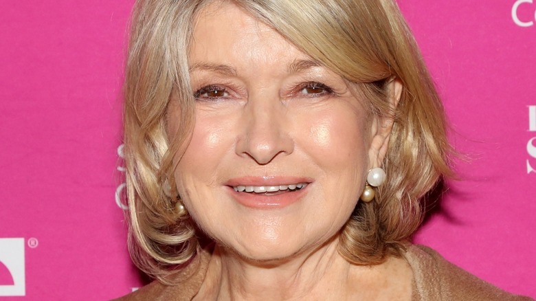 Martha Stewart close-up