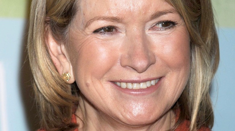 Close up of Martha Stewart