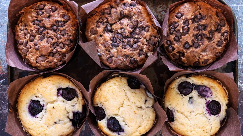 blueberry muffins and chocolate chip muffins 